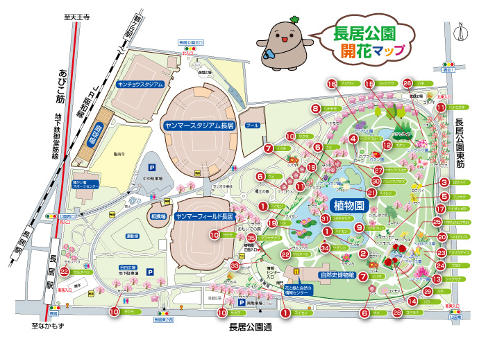 花ごよみ 長居公園 Nagai Park 花ごよみ 長居公園 Nagai Park