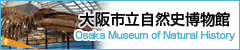 大阪市自然史博物館