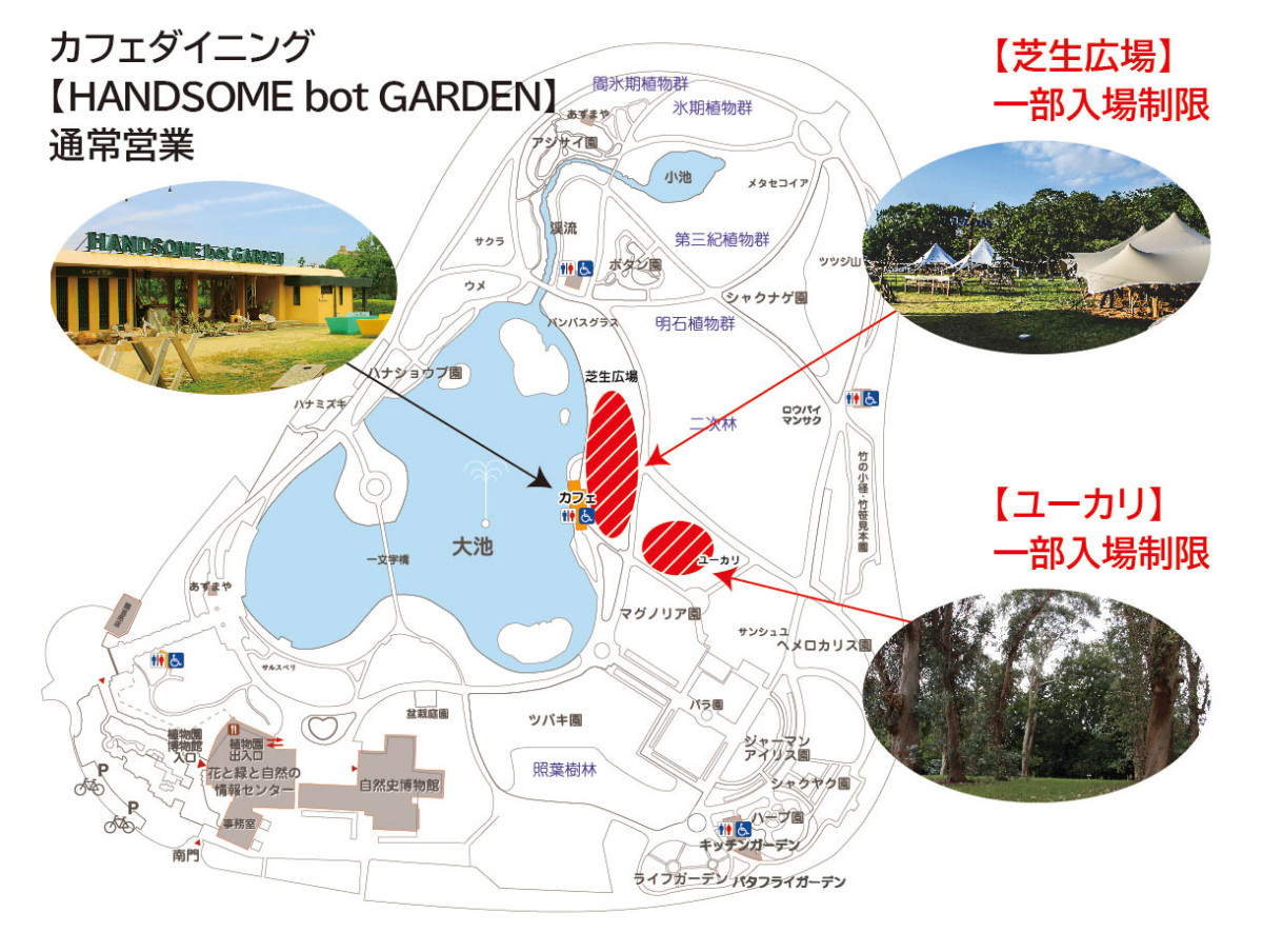 お知らせ 10月10日 日 の芝生広場 ユーカリエリアの使用について 長居公園 Nagai Park お知らせ 10月10日 日 の芝生広場 ユーカリエリアの使用について 長居公園 Nagai Park